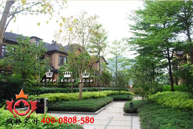 攀缘植物、植物造景、生态建筑、景观设计、绿化设计、园林设计 攀缘植物、植物造景、生态建筑、景观设计、绿化设计、园林设计