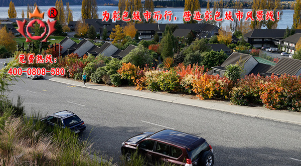 为彩色城市而行,营造彩色风景线!