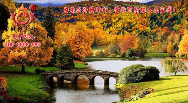 为生态环境而行,营造可持续人居家园!