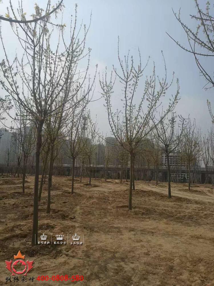 微信图片_20180415084715.jpg 微信图片_20180415084715.jpg