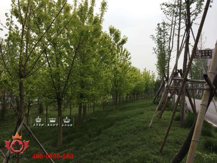 微信图片_20180415085042.jpg
