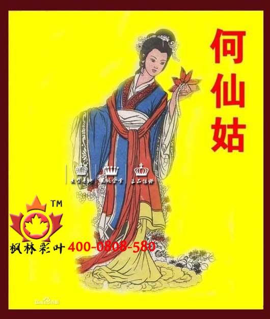 何仙姑手执荷花的原因是什么?