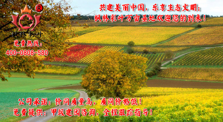 共建美丽中国,乐享生态文明!.jpg