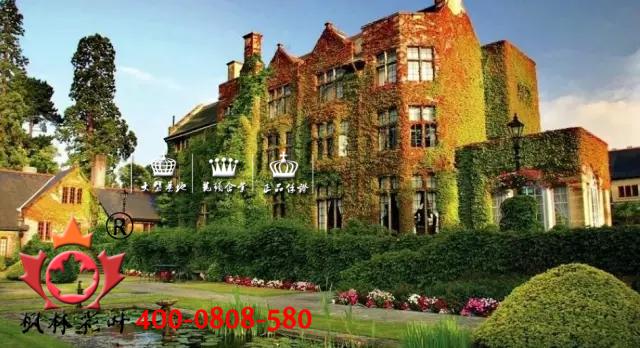 攀缘植物、植物造景、生态建筑、景观设计、绿化设计、园林设计 攀缘植物、植物造景、生态建筑、景观设计、绿化设计、园林设计