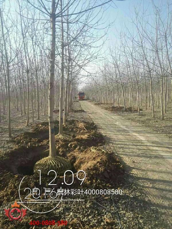 微信图片_20170829215613.jpg 微信图片_20170829215613.jpg