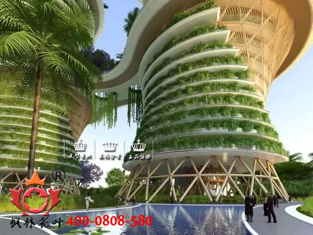 攀缘植物、植物造景、生态建筑、景观设计、绿化设计、园林设计 攀缘植物、植物造景、生态建筑、景观设计、绿化设计、园林设计